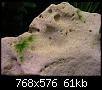         

:  P1010055b.JPG
:  298
:  61,2 KB
