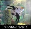         

:  DSC00874.JPG
:  231
:  124,3 KB