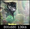         

:  DSC00877.JPG
:  215
:  136,1 KB