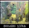         

:  DSC00878.JPG
:  241
:  136,5 KB