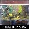         

:  DSC00879.JPG
:  241
:  150,5 KB
