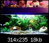         

:  WebCam_20071117_1705.JPG
:  436
:  18,5 KB