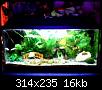         

:  WebCam_20071117_1703(1).JPG
:  355
:  16,2 KB