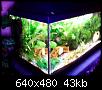         

:  WebCam_20071117_1700(1).JPG
:  365
:  42,9 KB
