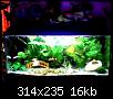         

:  WebCam_20071117_1703(2).JPG
:  318
:  16,4 KB