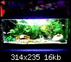         

:  WebCam_20071117_1703.JPG
:  326
:  15,9 KB