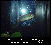         

:  jwel blue22.jpg
:  2772
:  82,8 KB