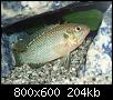        

:  jwel orange55.jpg
:  2903
:  203,8 KB