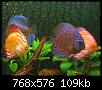         

:  2.jpg
:  208
:  109,0 KB