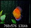         

:  3.jpg
:  199
:  131,1 KB