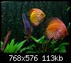         

:  4.jpg
:  221
:  113,3 KB