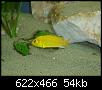         

:  DSC01297.jpg
:  476
:  54,3 KB
