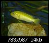         

:  DSC01298.jpg
:  446
:  54,0 KB