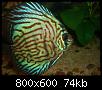         

:  12.jpg
:  436
:  74,3 KB