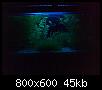         

:  DIY (15).jpg
:  600
:  45,0 KB