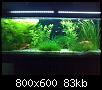        

:  DIY (16).jpg
:  683
:  83,4 KB