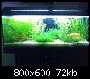         

:  DIY(17).jpg
:  615
:  72,2 KB