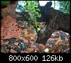         

:  P2150177.JPG
:  317
:  125,6 KB