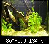         

:  P2240312.jpg
:  330
:  133,7 KB
