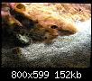         

:  P2240316.jpg
:  343
:  152,2 KB