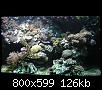         

:  P2240318.jpg
:  349
:  125,7 KB