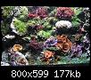         

:  P2240325.jpg
:  303
:  176,7 KB