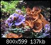         

:  P2240326.jpg
:  296
:  137,5 KB