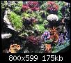         

:  P2240327.jpg
:  317
:  175,1 KB