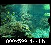         

:  P2240329.jpg
:  302
:  144,3 KB