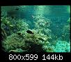         

:  P2240330.jpg
:  307
:  144,0 KB
