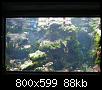         

:  P2240332.jpg
:  298
:  87,8 KB