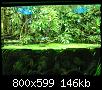         

:  P2240333.jpg
:  335
:  145,7 KB