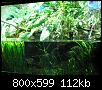         

:  P2240334.jpg
:  314
:  112,3 KB