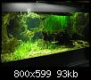         

:  P2240335.jpg
:  330
:  93,2 KB