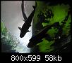        

:  P2240339.jpg
:  352
:  58,1 KB