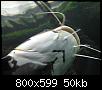         

:  P2240341.jpg
:  346
:  50,5 KB