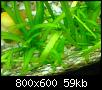        

:  DSC00300.jpg
:  511
:  58,8 KB