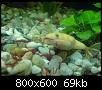         

:  DSC00283.jpg
:  824
:  69,2 KB