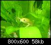         

:  DSC00256.jpg
:  987
:  58,4 KB