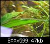         

:  P4090065.jpg
:  341
:  46,6 KB