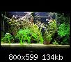         

:  P4090066.jpg
:  363
:  134,3 KB