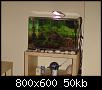         

:  DSC00113_1.jpg
:  256
:  50,4 KB