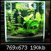         

:  f1.jpg
:  506
:  189,9 KB