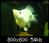         

:  DSC00422.jpg
:  358
:  54,0 KB