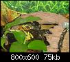         

:  DSC00145_1.jpg
:  253
:  74,9 KB