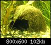         

:  DSC00434.jpg
:  441
:  101,8 KB