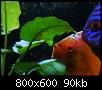         

:  6.jpg
:  456
:  90,3 KB