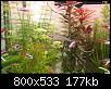         

:   013_resize.jpg
:  685
:  177,3 KB