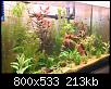         

:   005_resize.jpg
:  726
:  212,6 KB