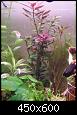         

:  IMGP0252_resize.jpg
:  617
:  135,4 KB
